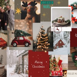 Zum Jahresausklang: Ein kurzer Blick zurück - und nach vorn